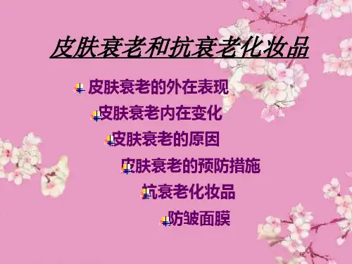 皮肤衰老ppt