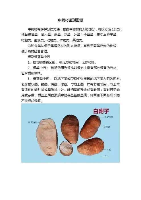 中药材鉴别图谱