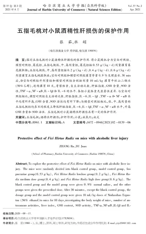 五指毛桃对小鼠酒精性肝损伤的保护作用