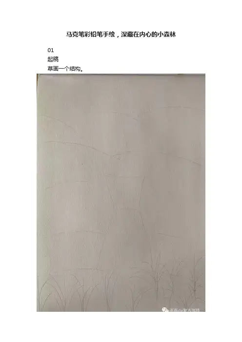 马克笔彩铅笔手绘，深藏在内心的小森林