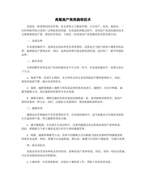 高粱高产高效栽培技术