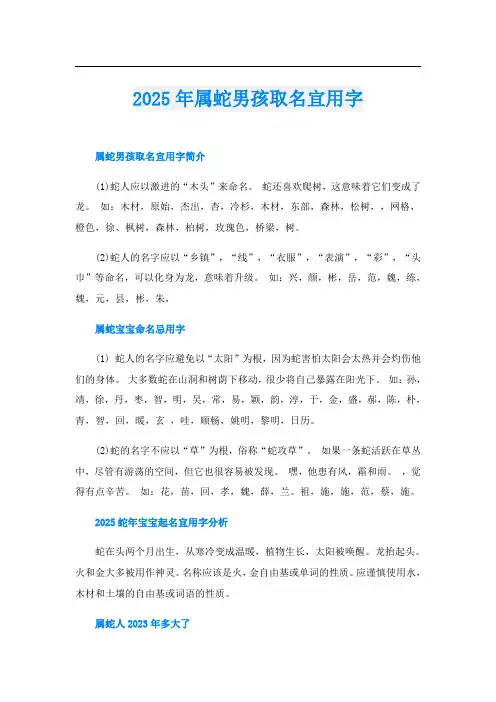 2025年属蛇男孩取名宜用字