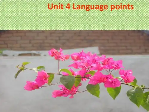 《Unit4languagepoint》课件十(20张PPT)(人教版选修6)