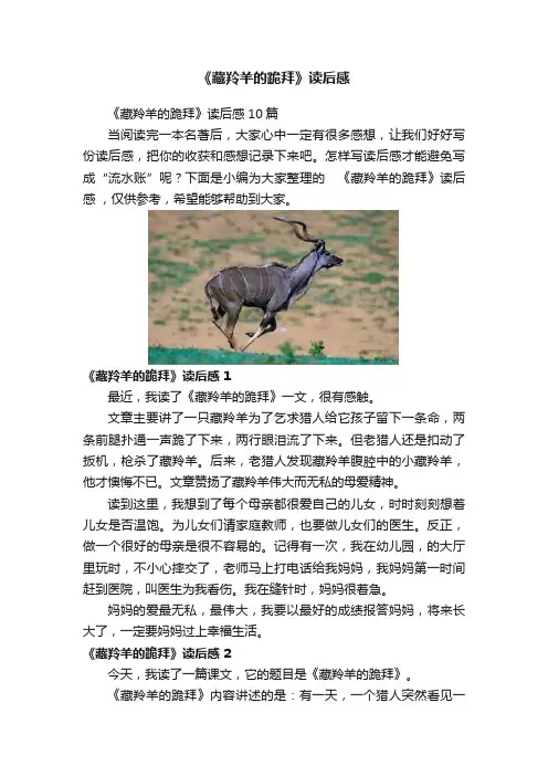 《藏羚羊的跪拜》读后感