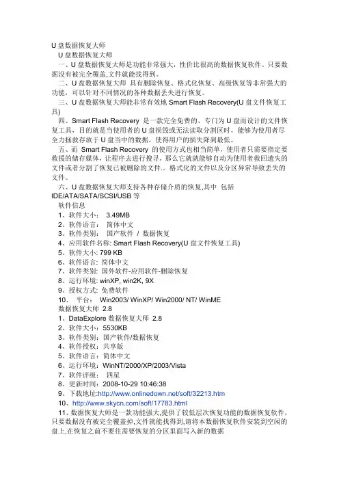U盘数据恢复大师