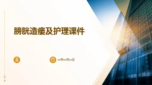 膀胱造瘘及护理课件