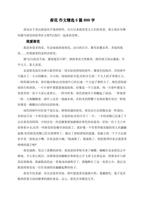 荷花 作文精选5篇 800字
