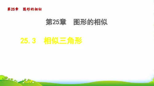 2022秋九年级数学上册 第25章 图形的相似25.3 相似三角形授课课件冀教版