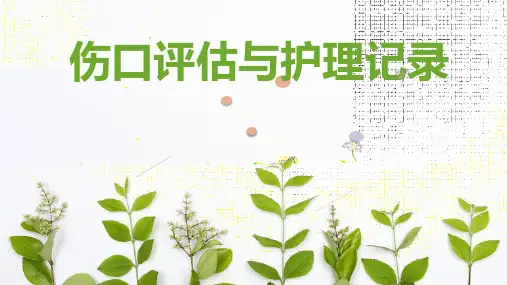 伤口评估与护理_记录