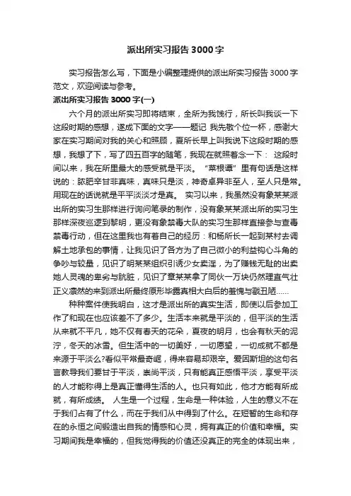 派出所实习报告3000字