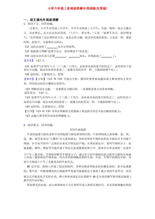 小学六年级上册阅读理解专项训练（含答案）