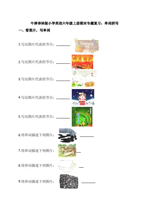 牛津译林版小学英语六年级上册期末专题复习：单词拼写