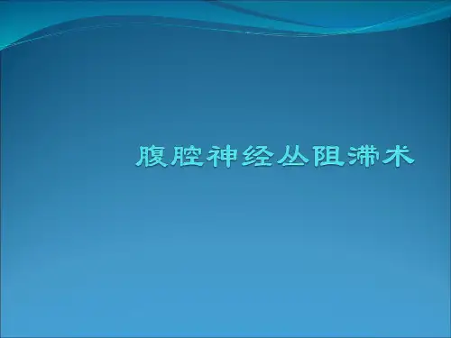 腹腔神经丛阻滞术医学PPT