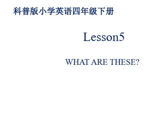 四年级下册英语课件-What are these2-科普版三起