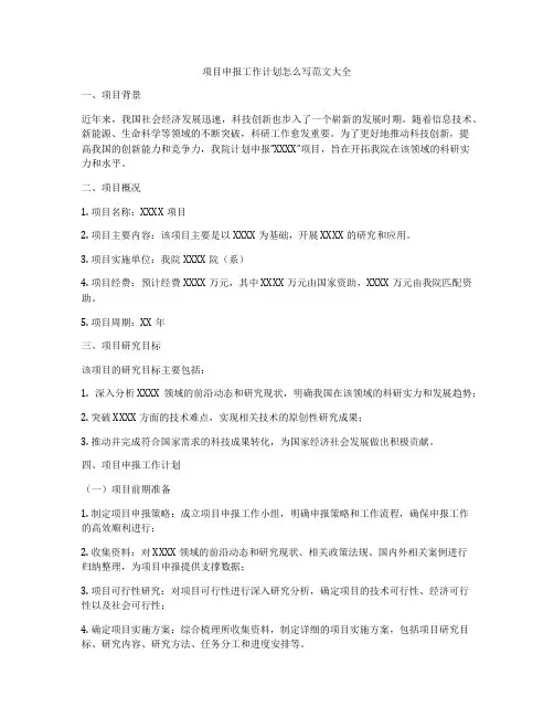 项目申报工作计划怎么写范文大全
