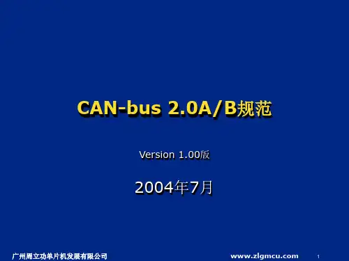 CAN2.0 规范