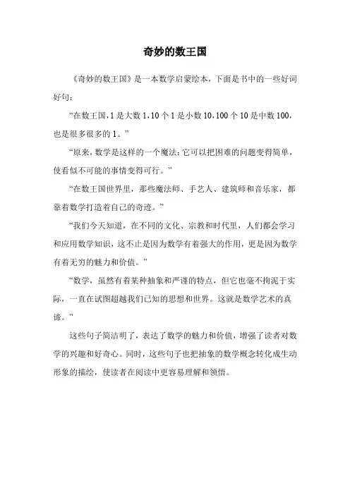 奇妙的数王国