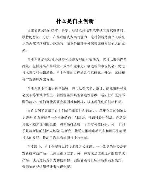 什么是自主创新