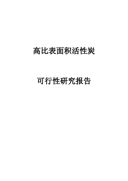 高比表面积活性炭可行性研究报告