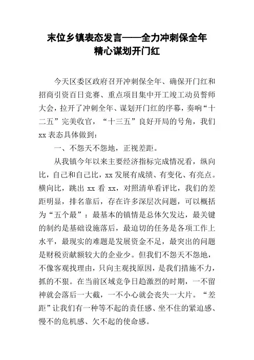 末位乡镇表态发言——全力冲刺保全年  精心谋划开门红