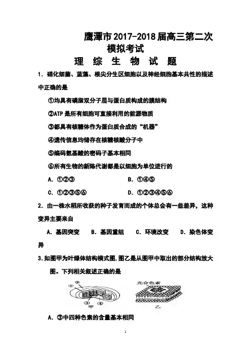 2017-2018届鹰潭市高三第二次模拟考试生物试题及答案