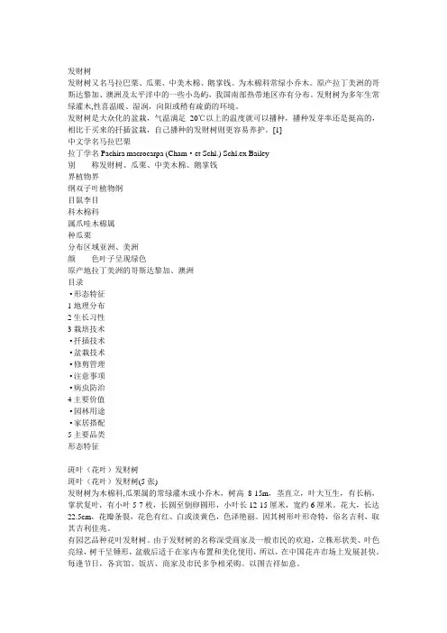 发财树