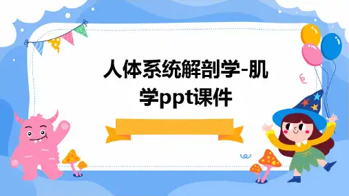 人体系统解剖学-肌学PPT课件