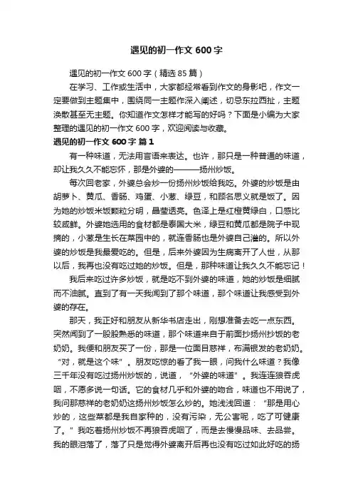 遇见的初一作文600字（精选85篇）