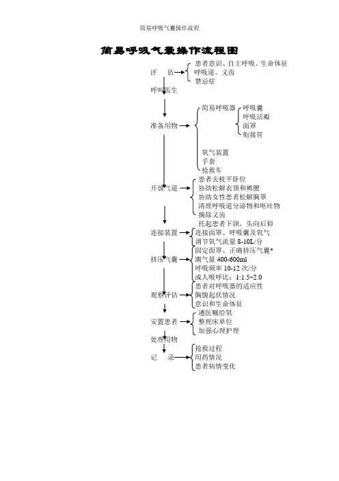 简易呼吸气囊操作流程