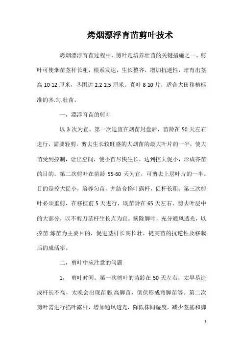 烤烟漂浮育苗剪叶技术