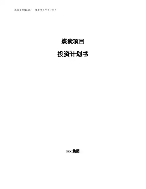 煤炭项目投资计划书 (1)