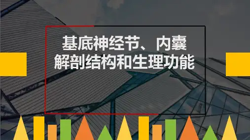 基底节、内囊.ppt