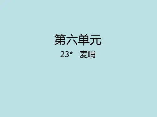 人教新课标四年级语文下册第24课《麦哨课件》课件