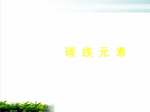 《碳族元素》ppt课件 人教课标版