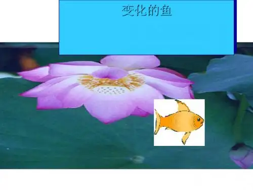 变化的鱼 PPT课件 1 北师大版
