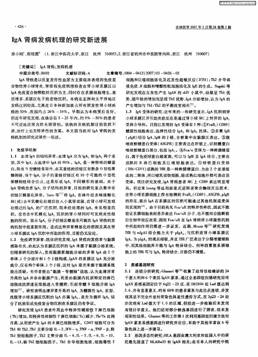 IgA肾病发病机理的研究新进展