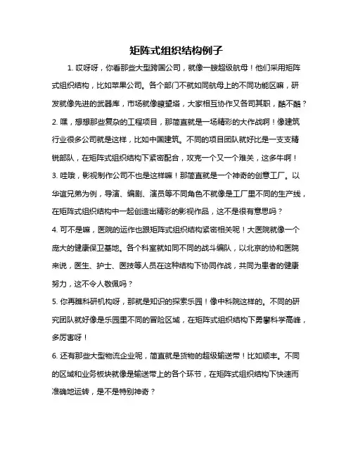 矩阵式组织结构例子