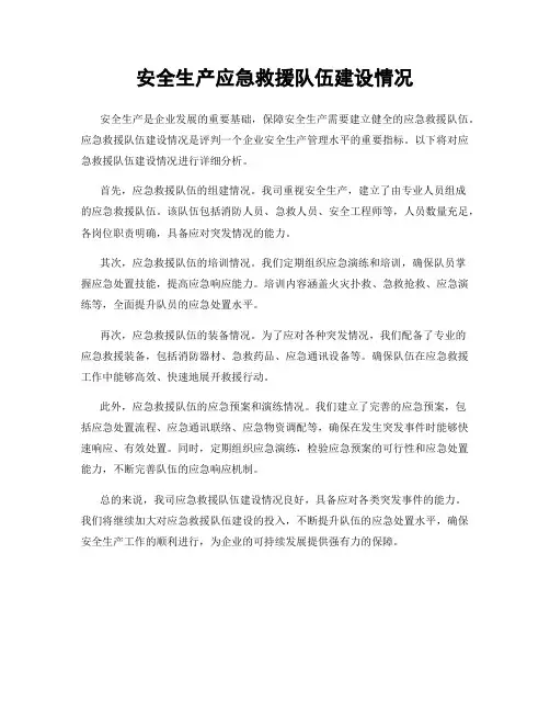 安全生产应急救援队伍建设情况