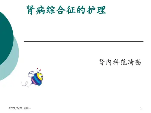 肾病综合征护理查房-(2)