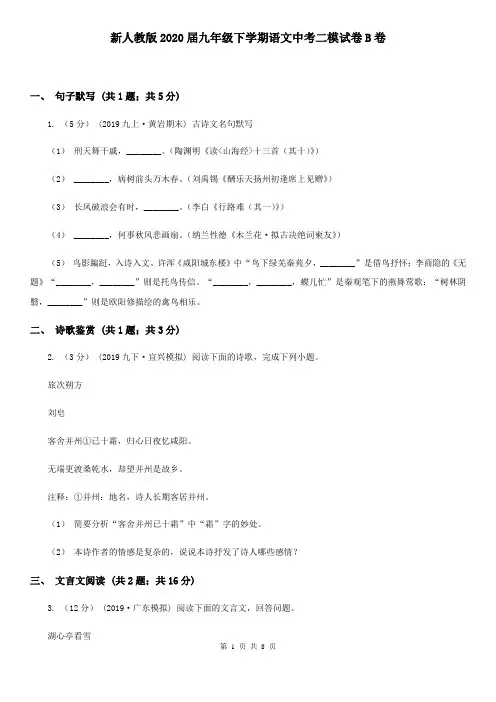 新人教版2020届九年级下学期语文中考二模试卷B卷