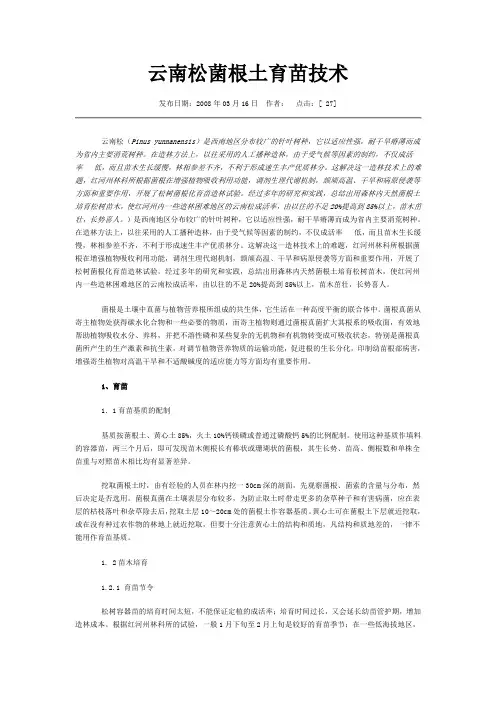 云南松菌根土育苗技术
