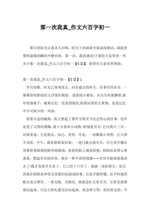 (初一作文)《那一次我真_》作文六百字初一
