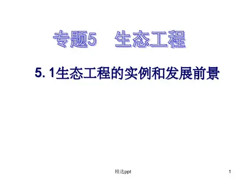 《生态工程》PPT课件