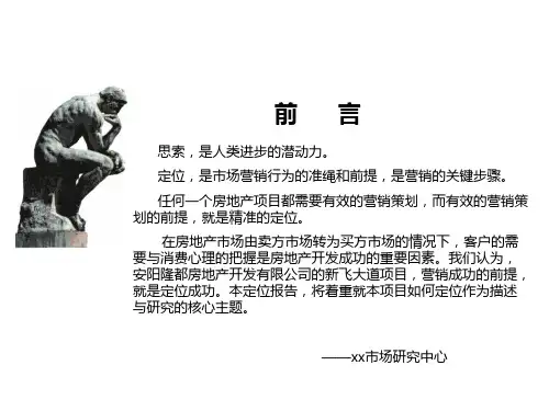 房地产大型住宅项目定位策划报告(ppt 共100页)