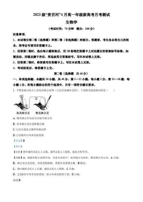 广西壮族自治区贵百河联考2023-2024学年高一下学期4月月考生物试题(解析版)