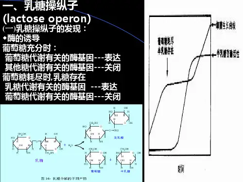 乳糖操纵子