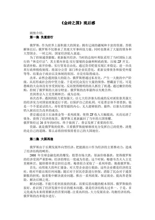 金砖之国观后感