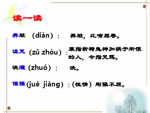 初中语文鲁教版六下课件1.《理想》课件