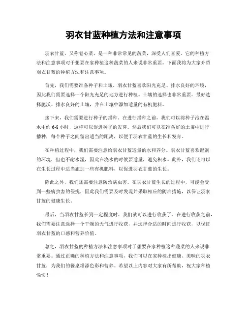 羽衣甘蓝种植方法和注意事项