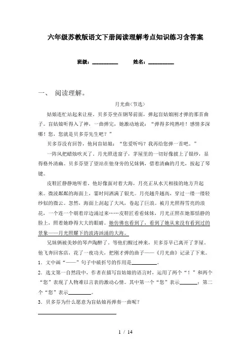 六年级苏教版语文下册阅读理解考点知识练习含答案